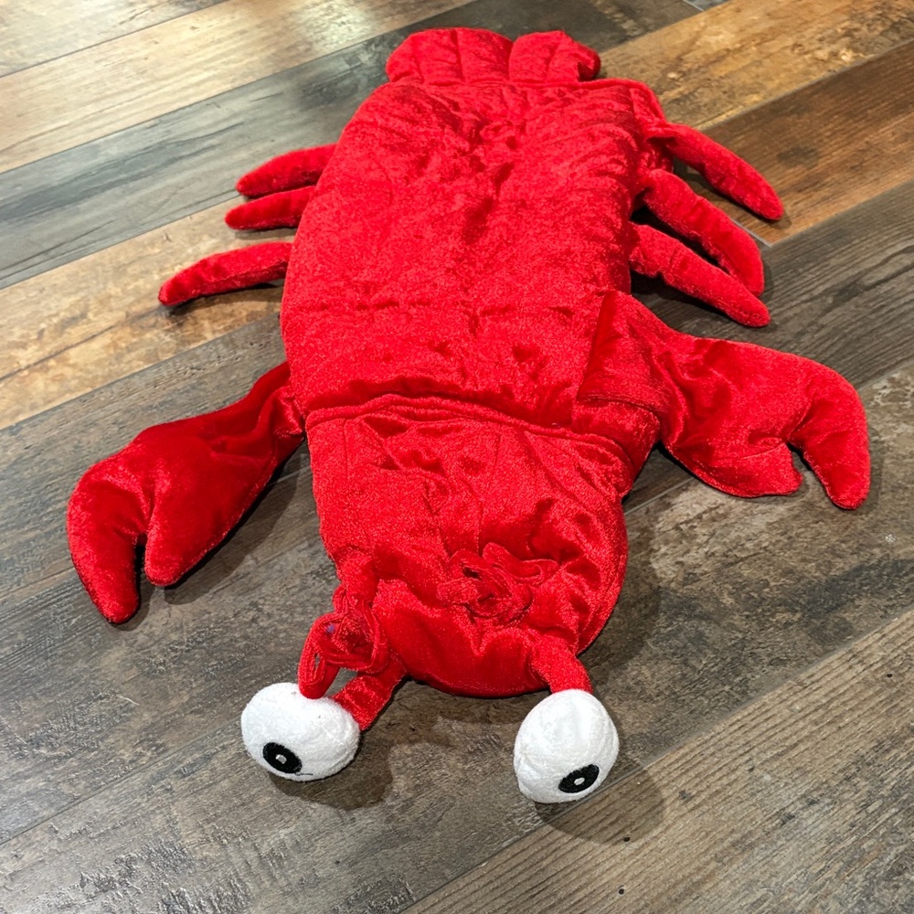Vibrant Red Lobster pet Halloween costume